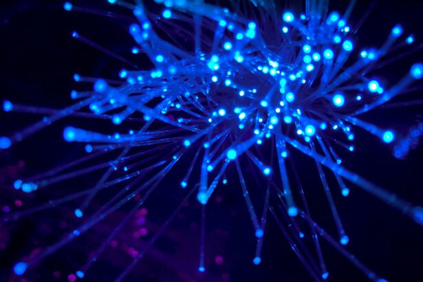 purple and blue light digital wallpaper